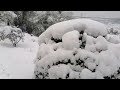 中国 湖南大雪