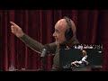 Bas Rutten Explains Karate Combat To Joe Rogan | JRE MMA