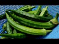 growing okra from seed to harvest at home