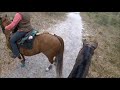 Someone else rode my pony!