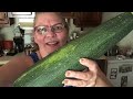 #zucchini what to do with it all