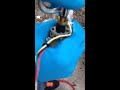 6.0 spool valve trashed