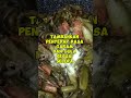 tumis sayur genjer pedas