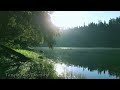 Summer Serenity: Tranquil Lake Morning Sounds for Relaxation