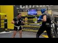 Peekaboo boxing -head movement