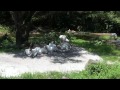 Kilimanjaro Safaris FULL Ride at Disney's Animal Kingdom, Front Row POV, Lots of Animal Views