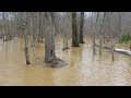 Mississippi  flood 2019