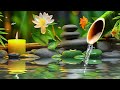 Beautiful Piano Music, Water Sounds - Bamboo, Relaxing Music, Meditation Music, Nature Sounds, ASMR