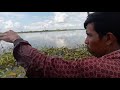 Gacor spot sawah kali ini panen ikan nila‼️ Mancing nila liar