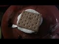 Super good smore just roasted.