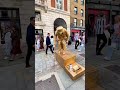 How London Levitating Goldman Statue works hard to entertain people.#livingstatue #floating #art