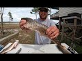 Fishing a LIVE! MINNOW for my DINNER! [Indian Redfish Curry]