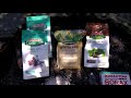 Raised Bed Garden Secret Super Soil Mix