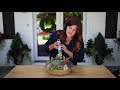 How to Create Height in a Succulent Arrangement! 🌱🥰💚// Garden Answer