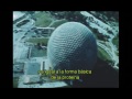 Bucky Fuller & Spaceship Earth. A short film by Ivorypress.