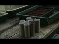 Making Organic Seed Compost & Sowing Vegetables | Slow Living Vlog