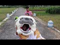 SEMUA BARONGAN CAN MACAN DI BAWA KESAWAH // AYO KITA REVIEW BARENG2 TEMAN - TEMAN