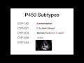 P450 Enzyme System (Inducers, Inhibitors, & Subtypes)