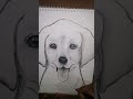 How to draw a Dog step by step ।। Drawing tutorial ।। Easy drawing for beginners ।। Pencil sketch