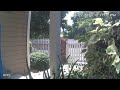 Amazon Logistics Courier Throws My Package