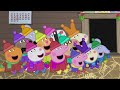 Peppa Pig Nederlands | Ziekenhuis | Tekenfilms voor kinderen