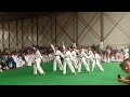 Demonstration Taekwondo