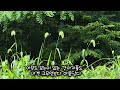 자연을 벗삼아 / With nature as a friend