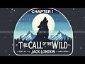 The Call of the Wild - Chapter 1 - Jack London - FREE AUDIOBOOK