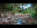 Rock River Sounds and Coconut Forest for Relaxing, Sleeping well, Healing Soul