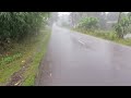 Relaxing Rain Sounds for Sleeping Walking Pure Heavy Rain on village road