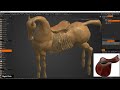 Beginners Guide to 3D Coat (Made 2023) 9 Making the Saddle