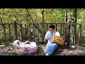 Autumn Accordion