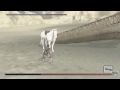 Shadow of the Colossus - Phalanx after death