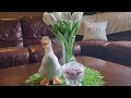 The Ducks are Back || Basics of Coffee Table Styling #decoratewithme #spring2024 #ducks