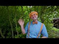 Blippi Explores A Wildlife Park | Learning Animals For Kids