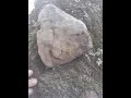 Native American Headdress Motif in Stone. Found October 2022 Orange County, Virginia