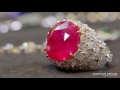 The $20 Million Ruby