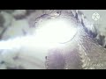 Godzilla VFX Test (inspired by @TheRedHudson83 's tutorial vid)