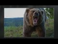 Polar Bears in Action! | Built For The Kill | Full Episode | S4-E2 | Nat Geo Wild