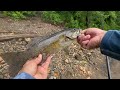 STRIPER BASS ARE HERE!! Delaware River Fishing With Jerk Bait