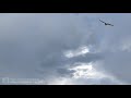 Cumulonimbus Breaking The Cap | 180-deg wind convergence | Devon | 12th July 2021