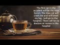 Package of Tea POV - learn English grammar with point of view stories