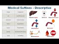 Medical Terminology: Suffixes MADE EASY [Nursing, Students, Coding]