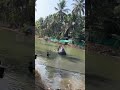 ആനക്ക് പറ്റിയത് കണ്ടോ   😱😱😱                                   Elephant trapped 🐘