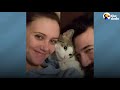Woman Becomes Third Wheel In Her Cat And Husband's Relationship | The Dodo Cat Crazy