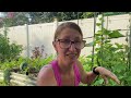 Can You Grow Food In 100+ Degree Heat? (Summer Garden Tour)