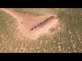 The Cadillac Ranch - Amarillo, Texas