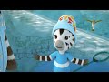 Zou de Balletdanser 🩰 | Dansplezier voor Kinderen | Animatieserie