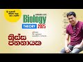 හම රැලි වැටීම නවත්තගන්න බෙහෙතක් | Tissa Jananayake with Life ( EP 72)