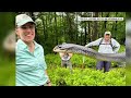 Wildlife Watch: Rare snake found in southern Vermont